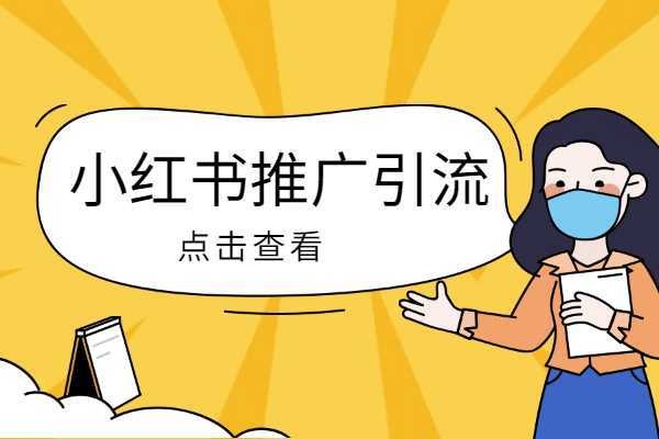 小红书蓝v可以授权几个子账号？